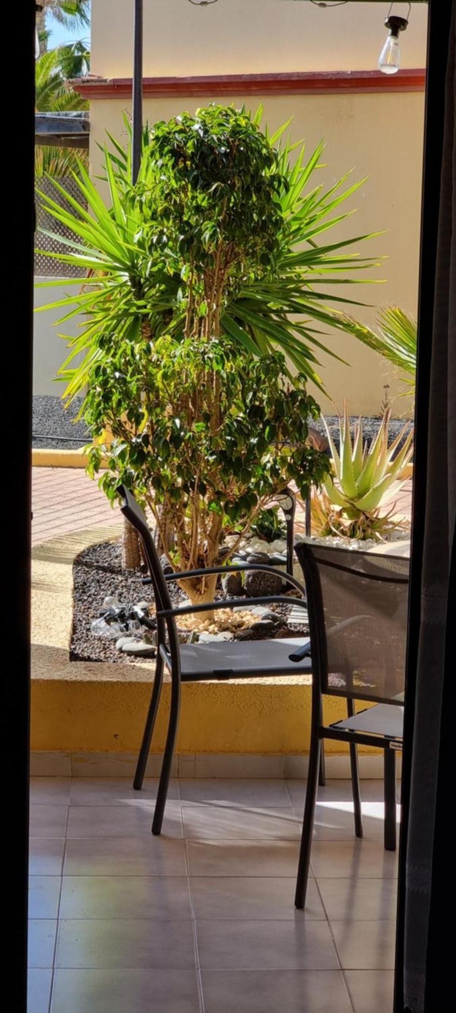 Hato Holiday Home Fuerteventura Costa Calma Eksteriør bilde